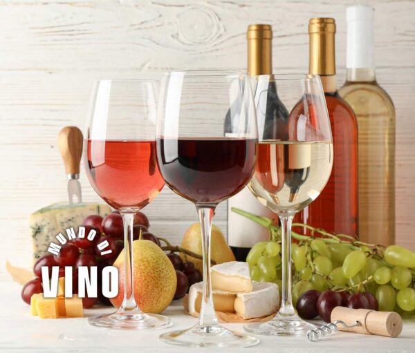 Lección 3 - La Clasificación del Vino