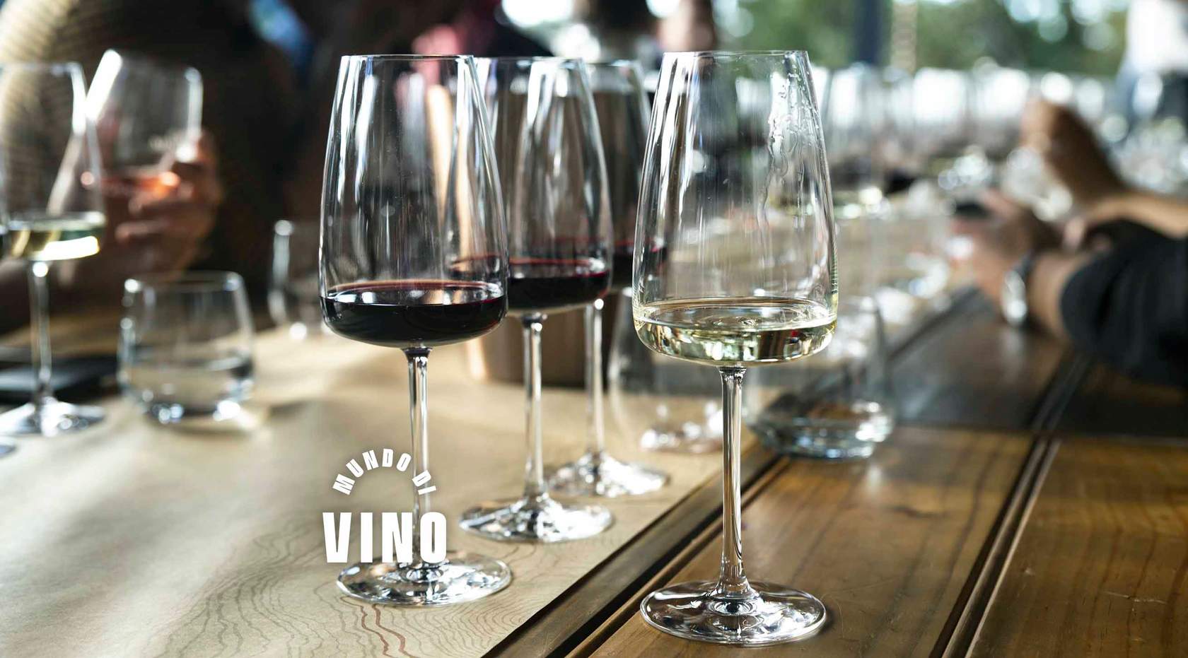 Lección 10: Vocabulario del Vino