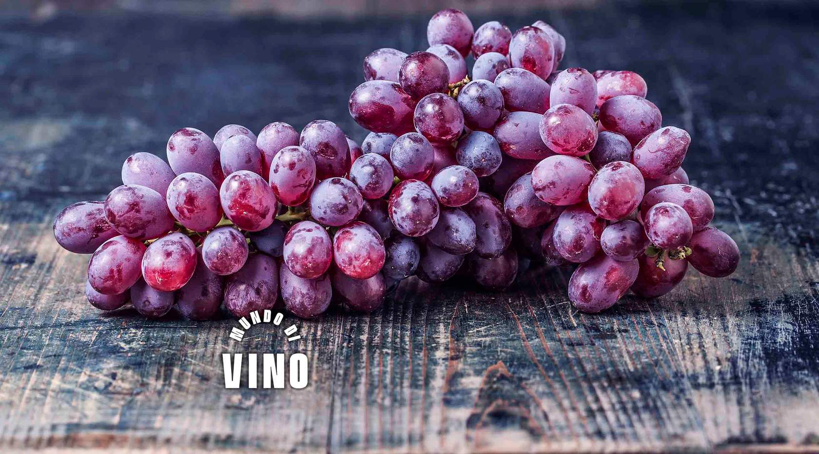 Lección 11: Composición de la Uva