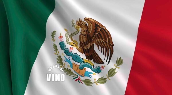 Lección 13: Presente y Futuro del Vino Mexicano